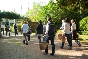 Hotels Le Manoir du Lys, The Originals Relais (Relais du Silence) : photos des chambres