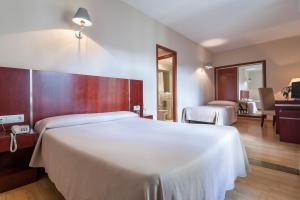 Double Room with Extra Bed room in Hotel Riosol