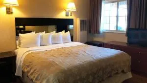 Pacific Heights Inn - North Point Public Housing