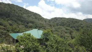 Gorilla Hills Eco-lodge - 卡巴莱