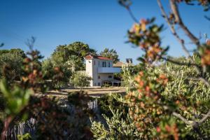Seafront Studio with direct beach access Messinia Greece