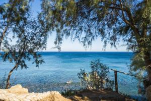 Seafront Studio with direct beach access Messinia Greece