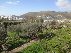 Overlooking Gavrio. Andros Greece