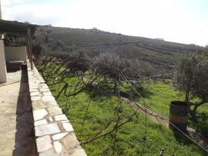 Overlooking Gavrio. Andros Greece