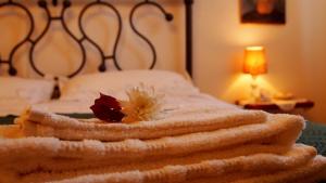 Agriturismo La Terra