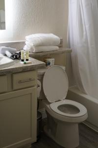 Sleepover 1BD 1BA Oklahoma City Apartments