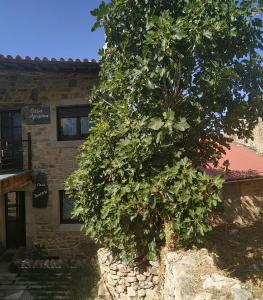 Apartamento La Agripina