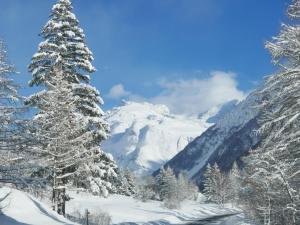 Maisons d'hotes Chez Mamie Anna (B&B et Chalet) : photos des chambres