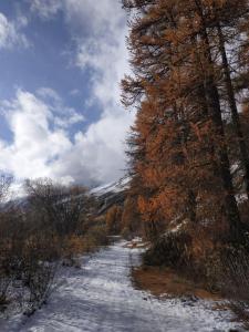 Maisons d'hotes Chez Mamie Anna (B&B et Chalet) : photos des chambres