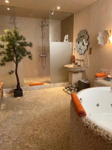 Maisons d'hotes Comptoir Saint-Hilaire : Chambre Double avec Baignoire Spa