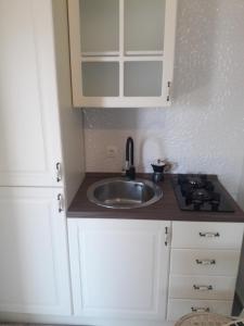 Robinson Medvidina Small room