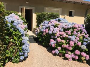 Hotels Auberge Les Hauts De Chenas : Chambre Lits Jumeaux