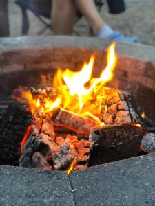 Glenarm Castle Ocean View Pods