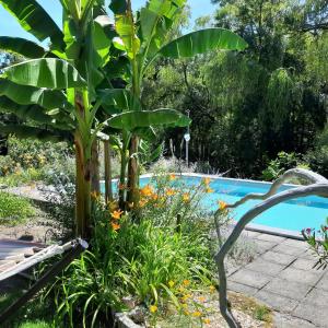 Maisons de vacances Gite Charentais, Le Coin Arbore : photos des chambres