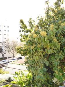 Villa Blanca Marbella Center - EaW Homes