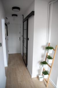 Green Loft Apartament