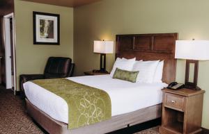 Queen Room room in Pacific Inn Motel