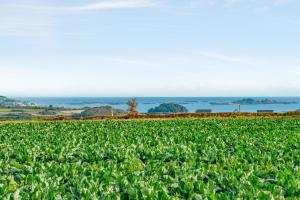 Maisons de vacances Maison de 2 chambres avec vue sur la mer jardin amenage et wifi a Paimpol : photos des chambres