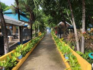 RedDoorz Near Gaisano Grand Cordova