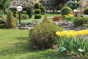 Hôtel Restaurant Oberlé