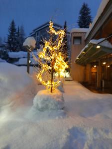 Holiday Apartment Davos Residence