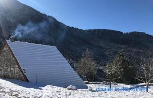 Chalet in the Forest Achaia Greece