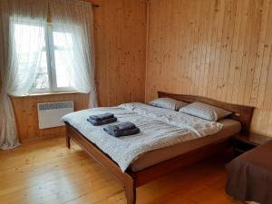 Омріяні Карпати