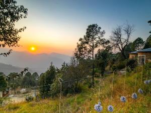 Sukoon Nature Retreat Near Bhatrojkhan Ranikhet