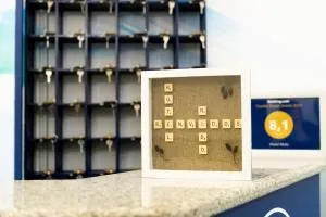 爱妮岛酒店 - 巴斯提安吉洛