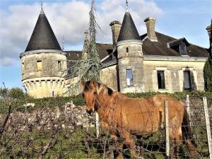 B&B / Chambres d'hotes Chateau de la Grave : photos des chambres