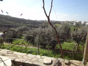 Overlooking Gavrio. Andros Greece