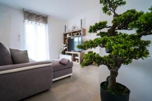 Maisons de vacances Apartment for 4 people with condominium parking : photos des chambres