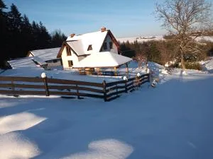 Dom na Krzemienicy - Brzozów