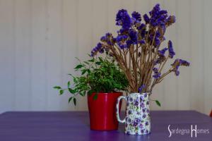 Sardegna Homes Il Glicine img55