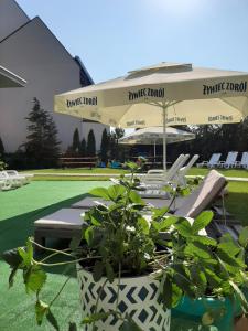 Tasarz Spa Ośrodek Wczasowy
