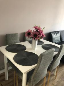 Sighisoara apartment