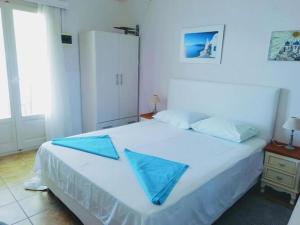 Pleasant Apartment in Piso Levadi near Kalogeros Beach Paros Greece