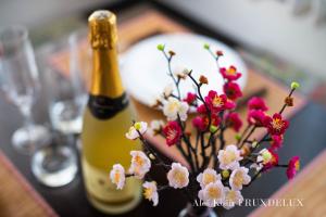 Pet & Family Friendly House Viktorija - house near Golica with Triglav view