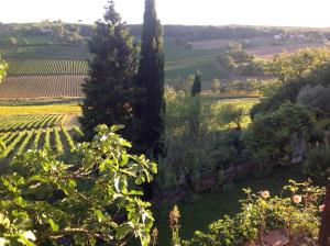 B&B / Chambres d'hotes chateau de Mauriac : photos des chambres