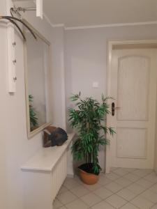 Ferienwohnung am Ölsbach