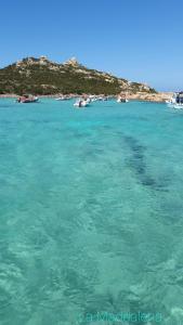 Appartamento delfini sul mare img38