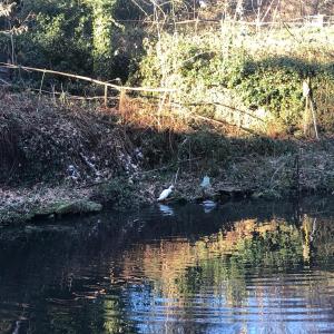 Les Jardins de la Tuilerie photo 6