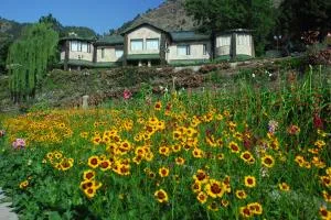 Shervani Hilltop Resort - Nainital