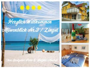 Möwenblick Nr 3 - für die schönste Zeit des Jahres -