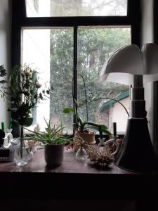 Hotels Saint Charles Hotel & Coliving Biarritz : photos des chambres