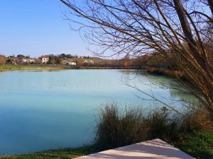 Lodges Shanti Lac Cabanes gites insolites et espace bien-etre Bordeaux : Tente