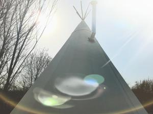 Lodges Shanti Lac Cabanes gites insolites et espace bien-etre Bordeaux : photos des chambres