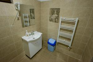 Casa Domneasca Riana