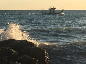 Sol mediterráneo - Algarrobo