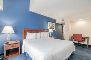 King Studio with Sofa Bed room in Doral Inn and Suites